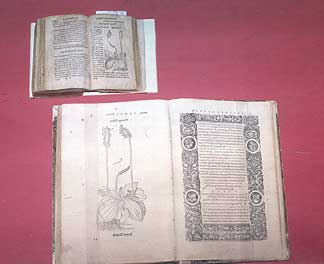 Two Herbal Books