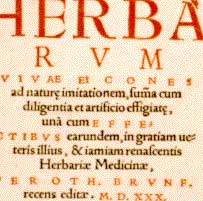 "Herbarium"
