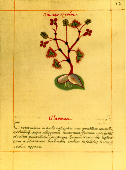 "The Badianus Manuscript: An Aztec Herbal of 1552"