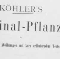 "Kohler's Medizinal Pflanzen"