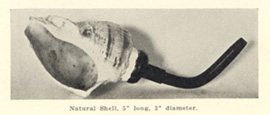 Natural concha shell ear trumpet