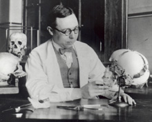 Paul Stevenson examining skull