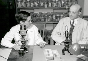 Ruth and Martin Silberberg, 1949