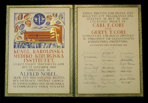 Nobel diploma in Physiology or Medicine awarded to Gerty Cori, 1947