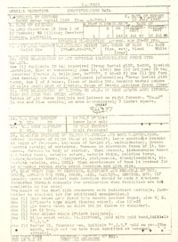 Page 1 of Central Identification Laboratory form identifying remains