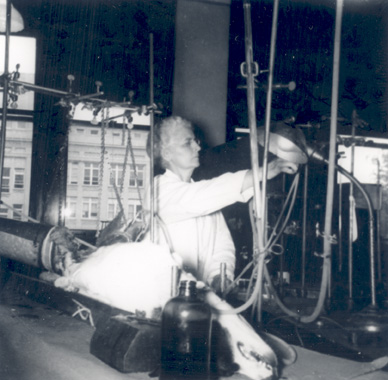 Helen Tredway Graham in her lab, 1948