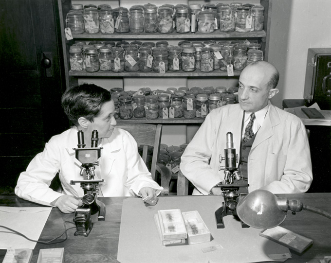Ruth and Martin Silberberg in their lab, 1949