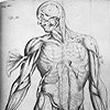 Engraved illustration from the Classics of Medicine Collection