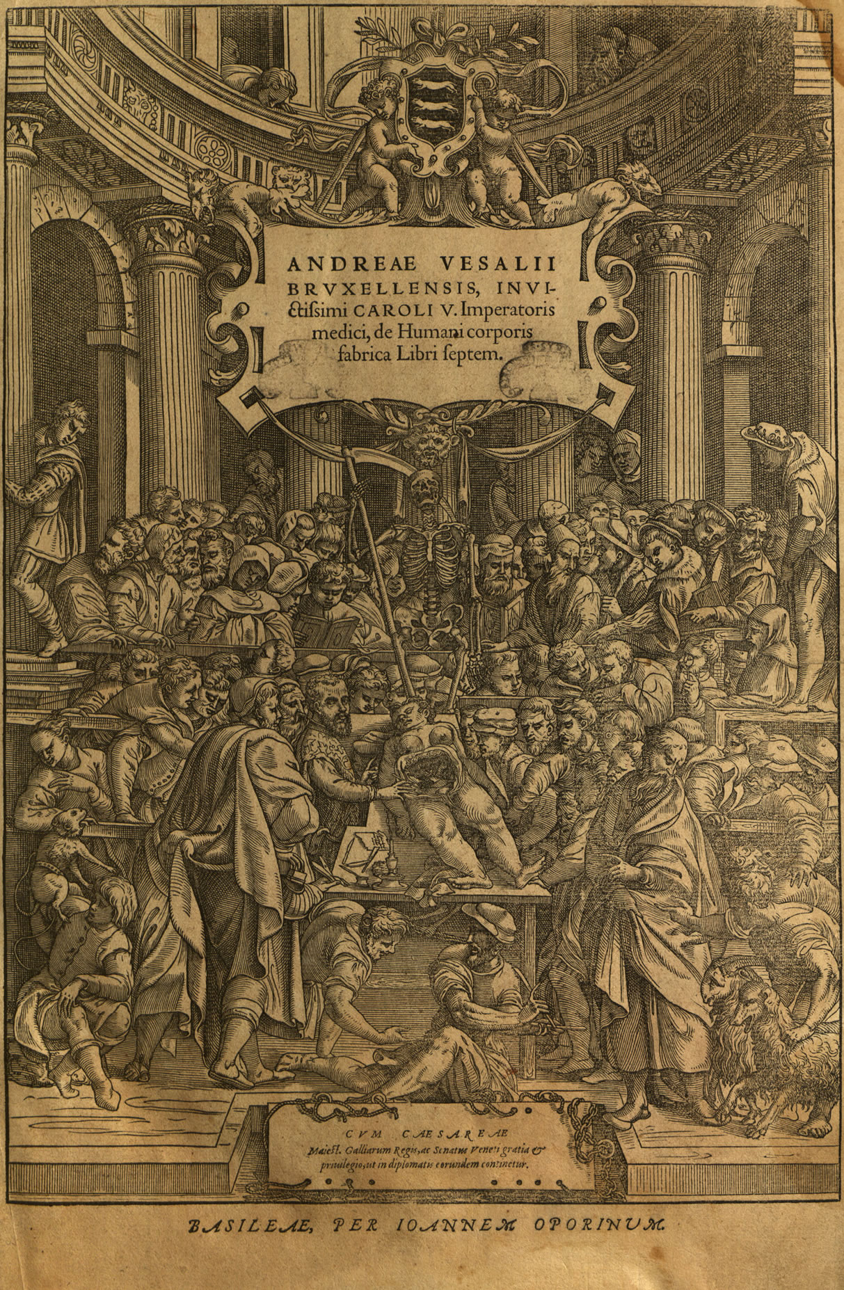 Fabrica 1555 title page